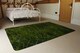 image 3 of Fresh Green Grass Background, Natural Grass Designer Rug | Multi