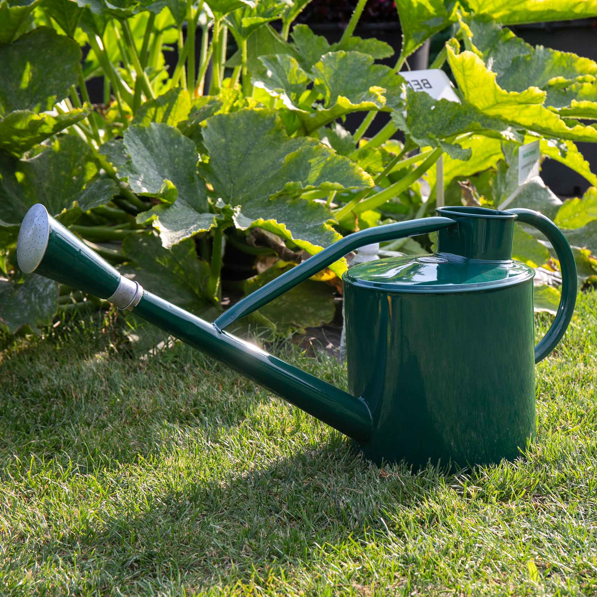 Kent & Stowe Long Reach Galvanised Watering Can 9 litre Forest Green | Green | Green | 9 litre