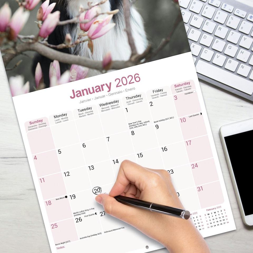 image 1 of Border Collie 2026 Calendar | Square Wall Calendar | Dog Breed Gift | Plastic Free Packaging | by Avonside Publishing