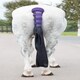 image 10 of Shires Padded Tail Guard With Bag Orange | Colour: Orange
Size: One Size