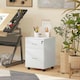 image 8 of HOMCOM Pedestal Office Mobile Filing Cabinet 2 Drawer White