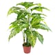 image 7 of 100cm Large Fox's Aglaonema (Spotted Evergreen) Tree Artificial Plant with Copper Metal Planter