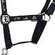 image 2 of Thelwell Practice Makes Perfect Horse Headcollar and Leadrope - Navy/Red - Small Pony