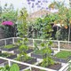 image 3 of COSTWAY 197 cm Tall Metal Obelisk Trellis 2-Pack Garden Trellis