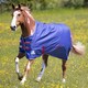 image 1 of Tempest Original Air Motion Horse Turnout Rug - Navy - 87in