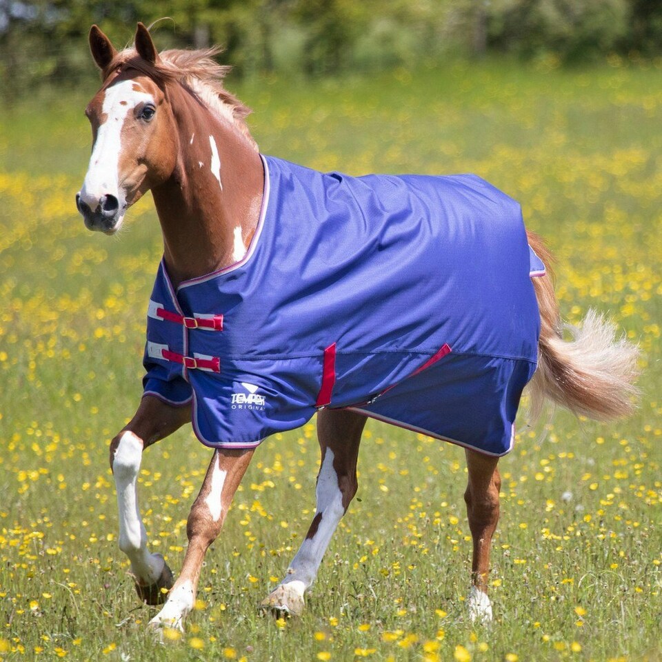 image 1 of Tempest Original Air Motion Horse Turnout Rug - Navy - 87in