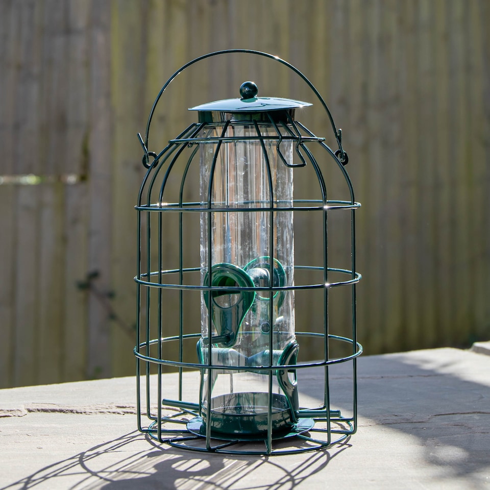 image 1 of Samuel Alexander Metal Hanging Bird Seed Feeder with Squirrel Guard