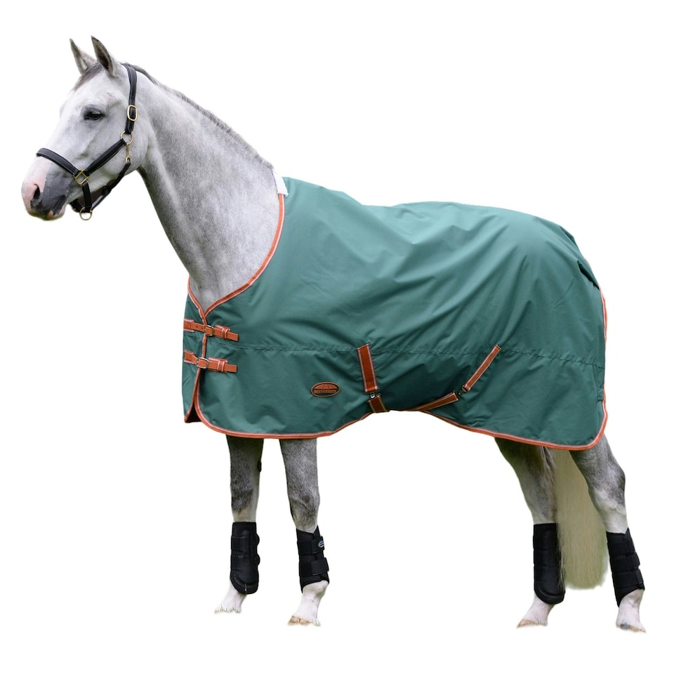 image 1 of Weatherbeeta Comfitec Tyro Standard-Neck Midweight Horse Turnout Rug - Green/Burnt Orange/White - 4´