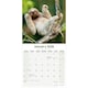 image 3 of Sloths 2026 Calendar | Square Wall Calendar | Animal Gift | Plastic Free Packaging | by Avonside Publishing