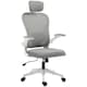 image 1 of HOMCOM Ergonomic Mesh Office Chair with Headrest, Lumbar Support, Grey