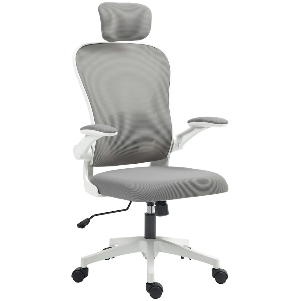 image 1 of HOMCOM Ergonomic Mesh Office Chair with Headrest, Lumbar Support, Grey