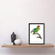 image 2 of Francois Levaillant Framed Wall Art Print The Red Cheeked Parrot Home Décor