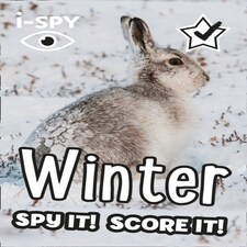 I-spy Winter