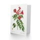 image 2 of Pierre-Joseph Redouté Art Card Trumpet Vine Flowers