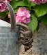 image 2 of Lemur and Pup Plant Pot Hanger | Bronze