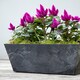 image 2 of Balcony Trough Ella Planter - Artstone - L17 x W55 x H17 cm - Black Black