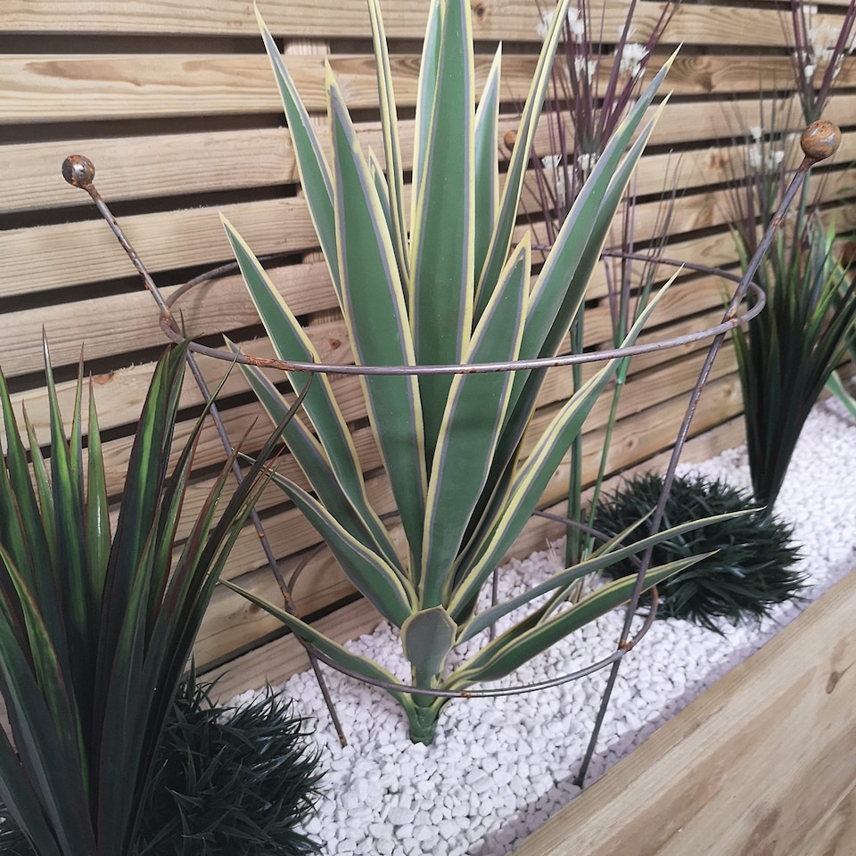 image 1 of Pack of 4 Tom Chambers Herbaceous Bare Rusted Steel Garden Plant Support Medium 54cm x 40cm