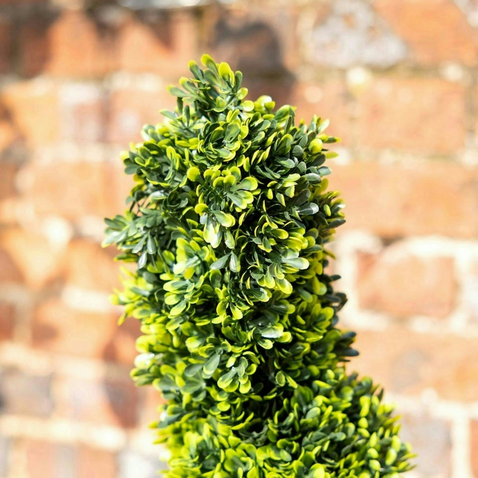 image 1 of Primrose Pair of 120cm Artificial Topiary Swirl Bush