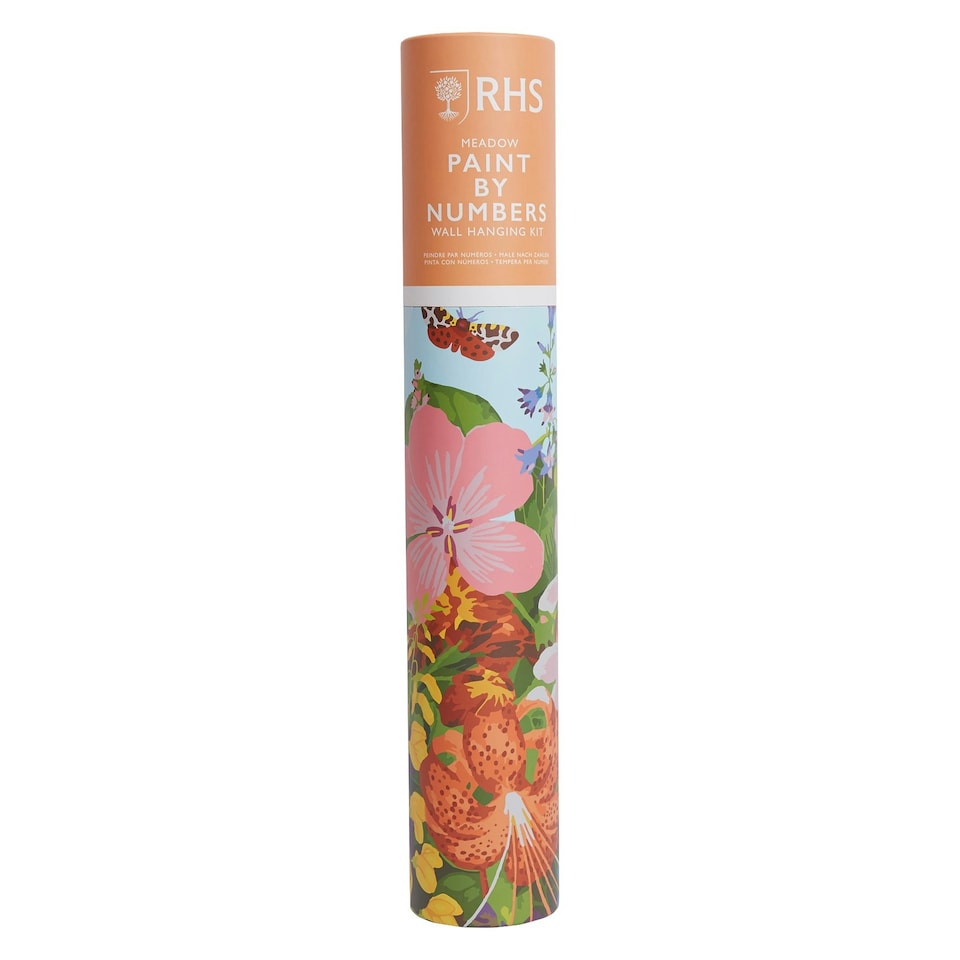 image 1 of RHS Paint By Numbers Hanging Kit With 24 Paints, 3 Brushes, 400 x 500 mm, Meadow