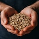 image 4 of Organic Spelt Flakes 500g (Sussex Wholefoods) | Multi