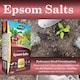 image 6 of Westland Epsom Salts 1.5kg Magnesium & Sulphur Fertilizer for Lush Green Foliage Flowers Vegetables and Healthy Plants