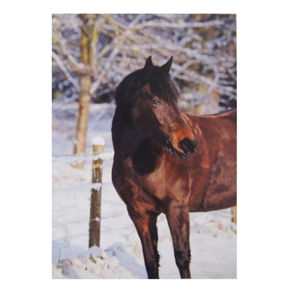 Kevin Milner Bay Horse In The Snow Christmas Card - White/Brown - One Size
