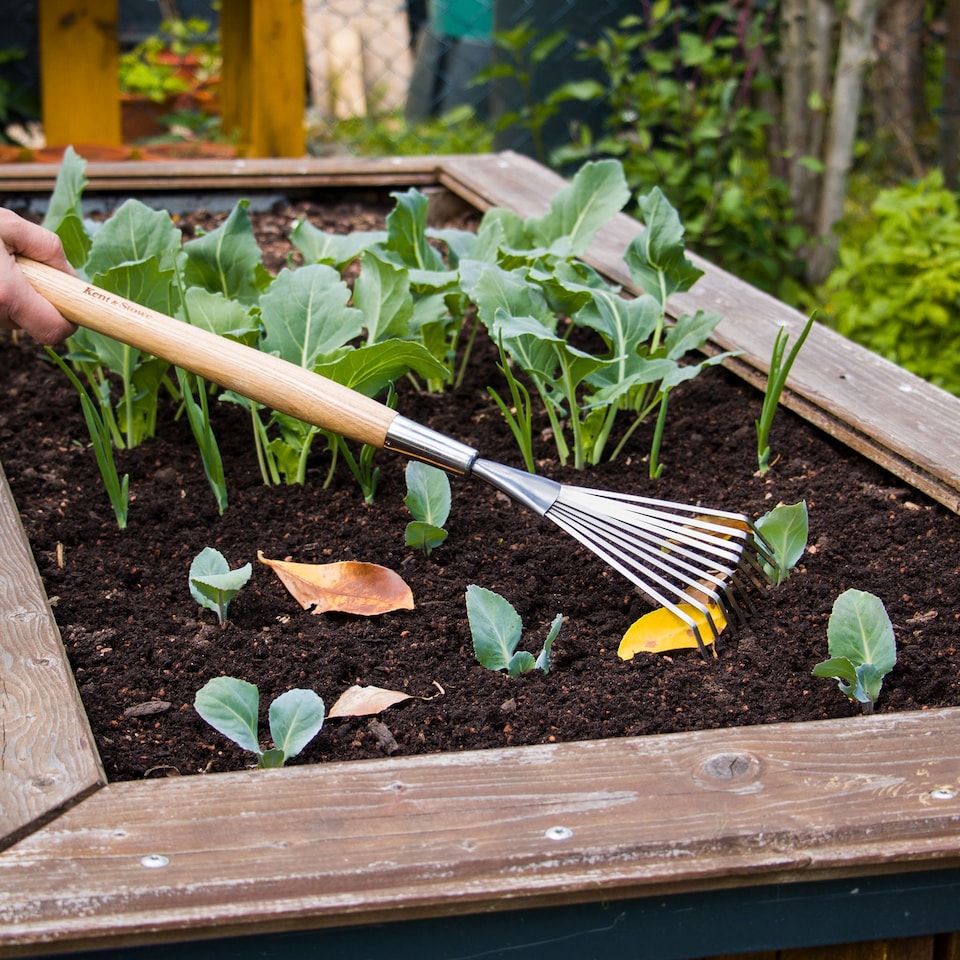 image 1 of Kent & Stowe Stainless Steel Border Hand Shrub Rake