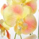 image 3 of 110cm Large Yellow Peach Orchid Plant - Artifcial - 41 REAL TOUCH flowers