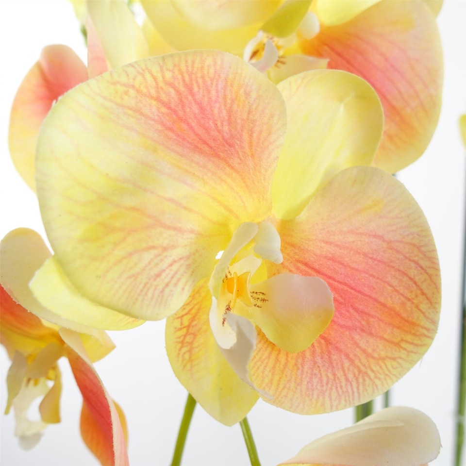 image 1 of 110cm Large Yellow Peach Orchid Plant - Artifcial - 41 REAL TOUCH flowers