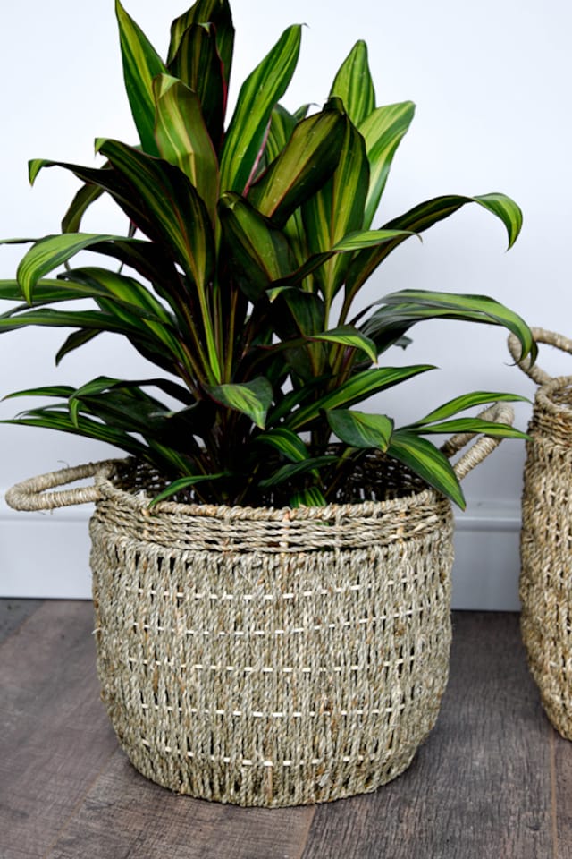 image 1 of Lined Basket (Set of 2) - Seagrass - L35 x W35 x H30 cm - Natural | Brown