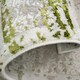 image 5 of KUKOON Olive Green Grey Distressed Tweed Runner Rug 60cm x 240cm
