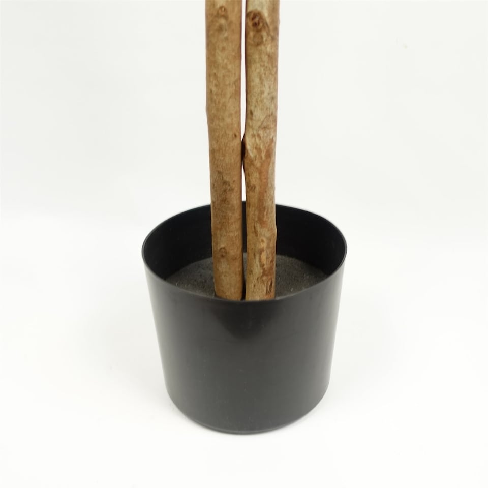 image 1 of Artificial Ficus Tree Realistic Extra Large 5ft Botanik | Green | 5ft