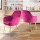 image 2 of MUSE Pair of Chairs Upholstered in Velvet Fabric with Gold Legs - Fuchsia Pink Pink | Fuchsia