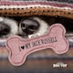 image 2 of History & Heraldry Pre-Personalised Squeaky Bone Dog Toy - Jack Russell