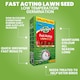 image 8 of Westland Gro-Sure Fast Acting Lawn Seed 30 Square Meter with 20 Percent Extra Free Quick Germination Grass Seed for New Lawns and Patch Repair