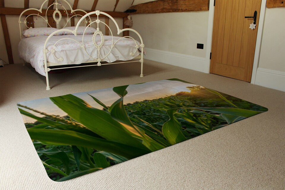 image 1 of Corn And Sun Close Up Designer Rug | Multi