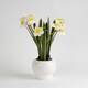 image 1 of 42Cm Daffodil Spray In Ceramic Pot Yellow | One Size