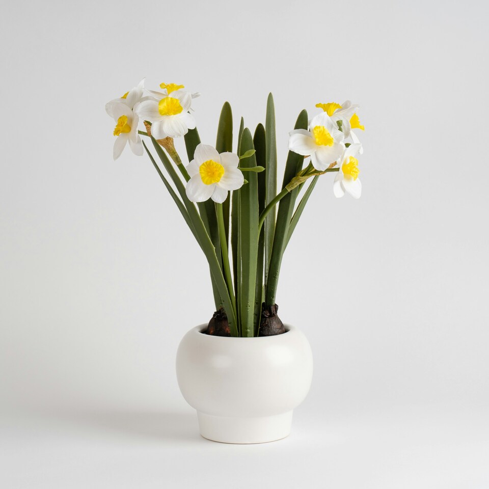 image 1 of 42Cm Daffodil Spray In Ceramic Pot Yellow | One Size