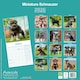 image 2 of Schnauzer Miniature  2026 Calendar | Square Wall Calendar | Dog Breed Gift | Plastic Free Packaging | by Avonside Publishing