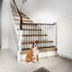 image 1 of Bettacare Diagonal Fit Multi Fit Dog Gate Range, 67cm - 105.5cm, Black, Stair Gate for Puppy, Safety Barrier for Pet | Black