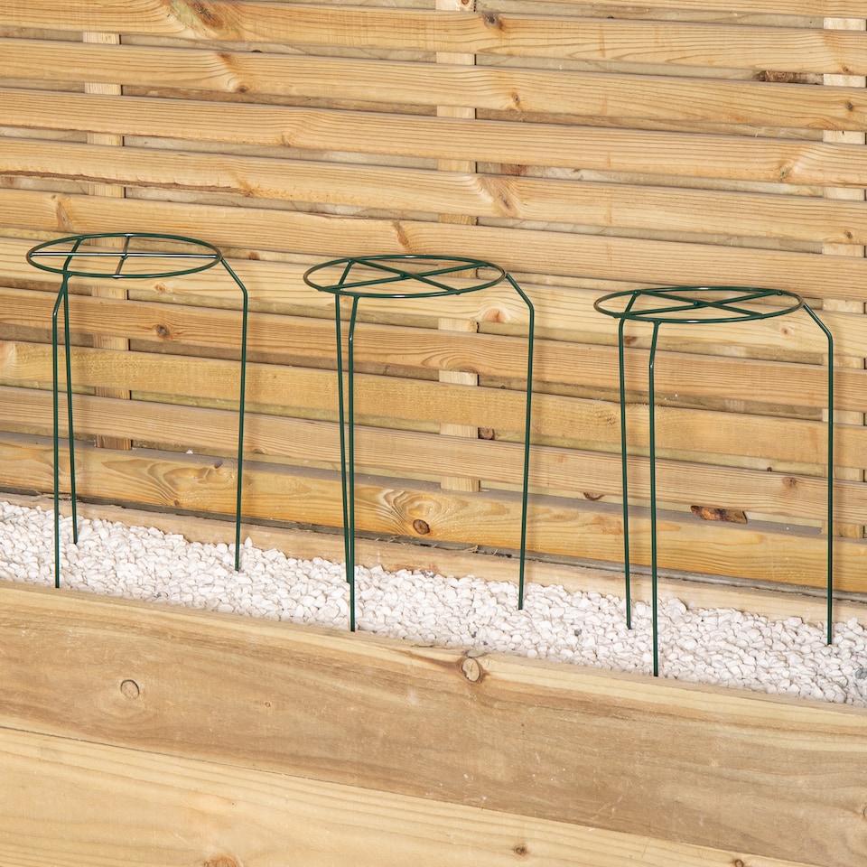 image 1 of Pack of 3 Tom Chambers Urban Dark Green Metal Herbaceous Garden Plant Support Grow Through Small 40cm x 20cm