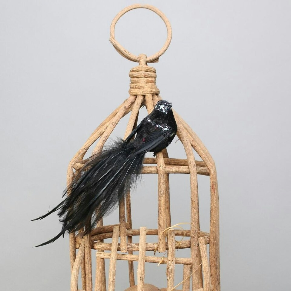 image 1 of Decorative Black Princess Bird With Clip