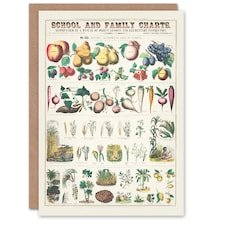 Willson and Calkins Art Card School And Family Charts No XXI