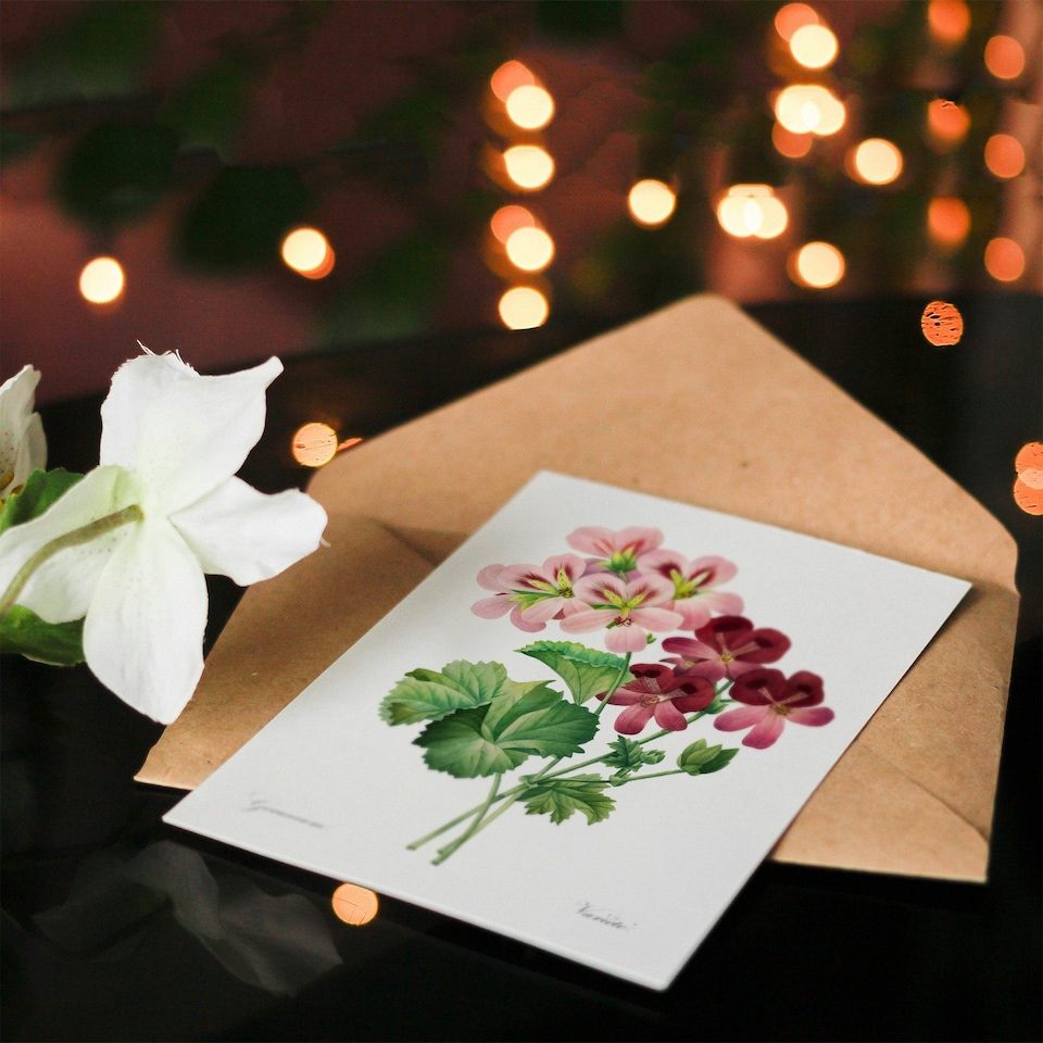 image 1 of Pierre-Joseph Redouté Art Card Vintage Geranium Flowers Illustration