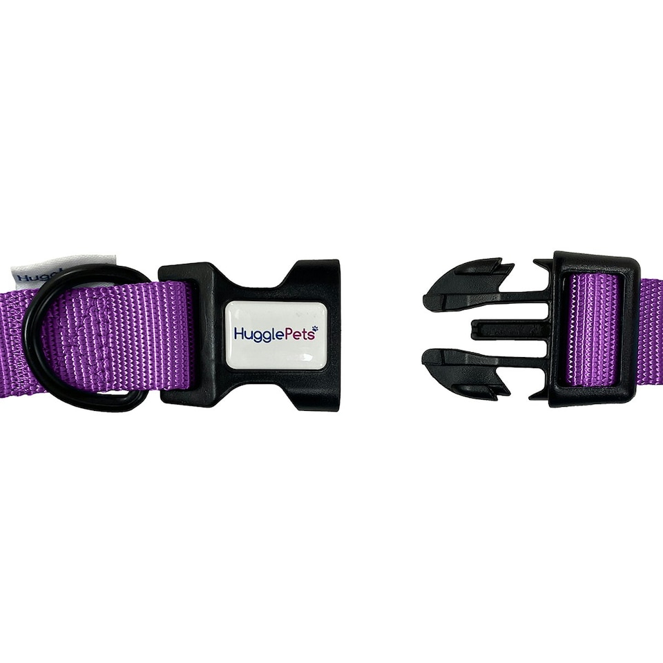 image 1 of HugglePets Snappy Adjustable Dog Collar Purple | L