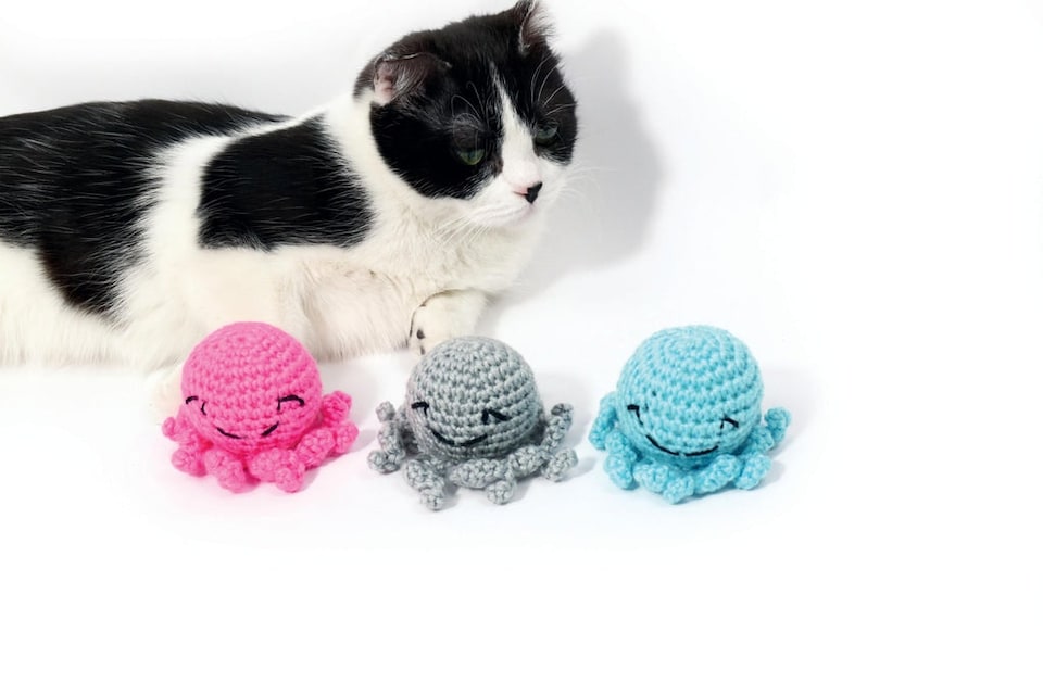 image 1 of M-PETS OCTOPUS - 100% Organic Cotton - Blue