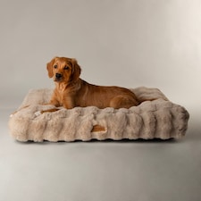 Scruffs Alpine Mattress Champagne (L)