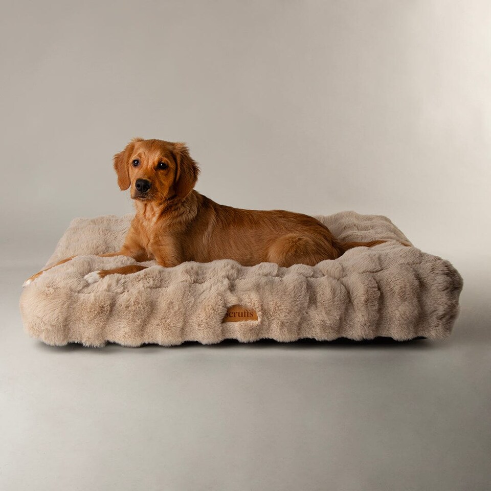 image 1 of Scruffs Alpine Mattress Champagne (L)