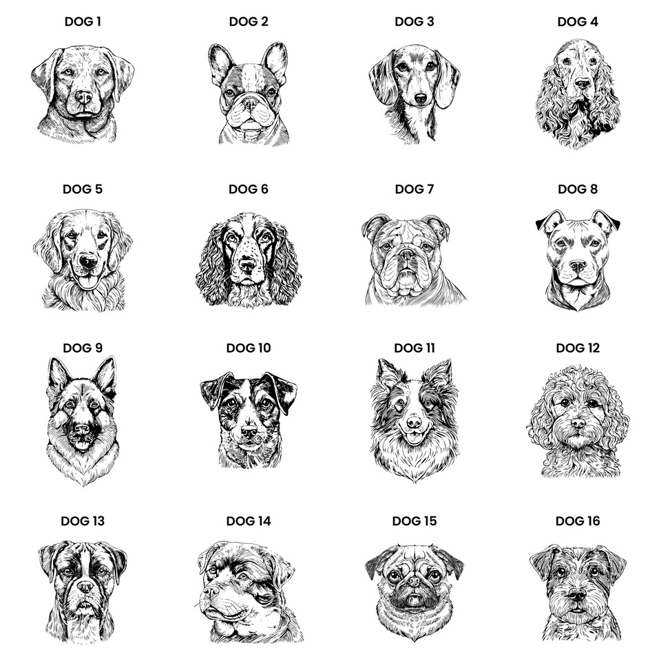 image 1 of Personalised Dog Breed Memorial Small Keepsake Box White