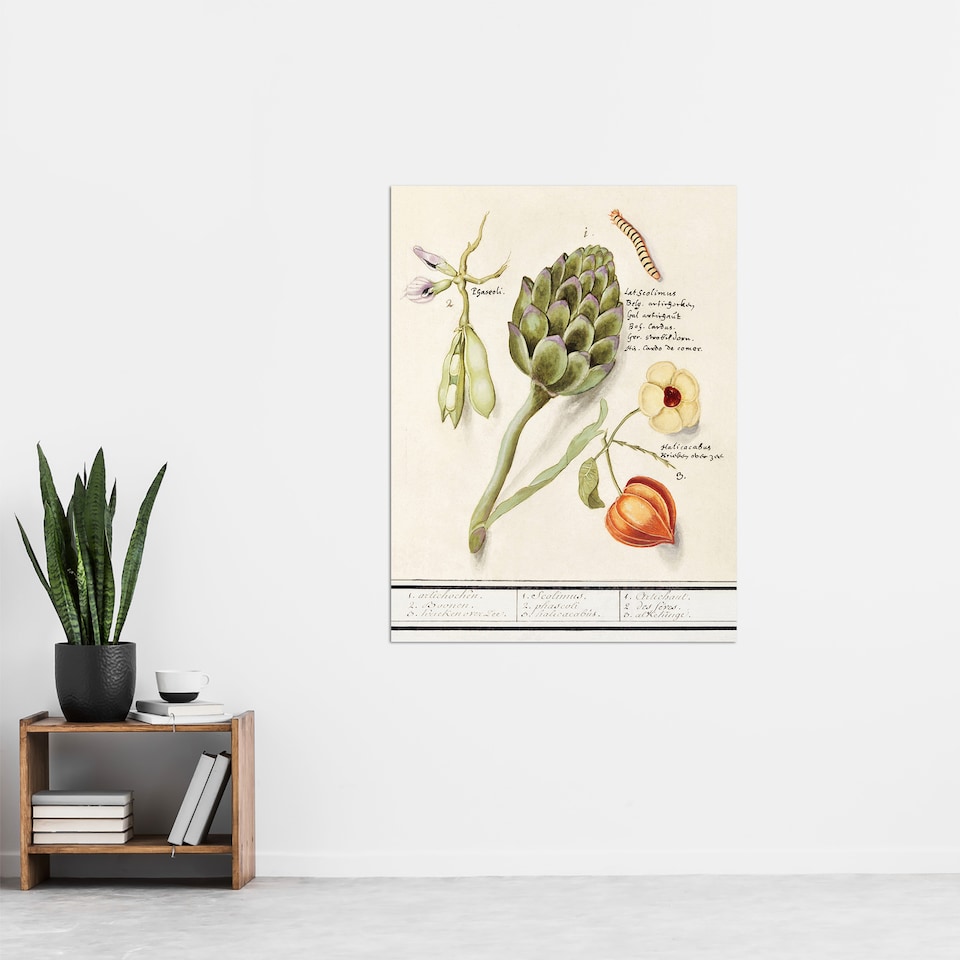 image 1 of Artichoke Broad beans and Groundcherry de Boodt Wall Art Poster Print 24X32"